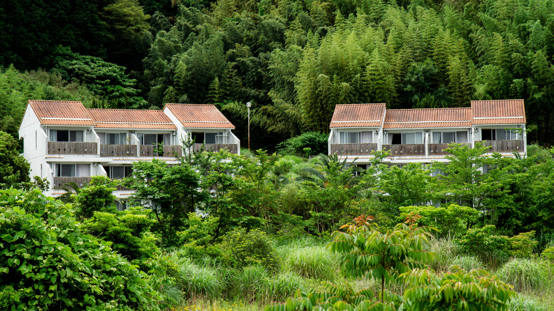 Decaying water park in Shizuoka, Japan reclaimed by nature - haunting reminder of past glory.