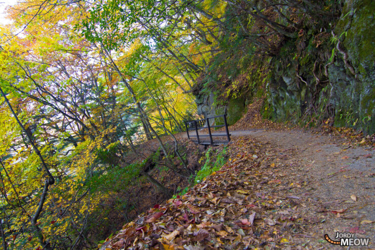 Explore the vibrant autumn colors of Nishizawa Valley, Japans Chubu region.