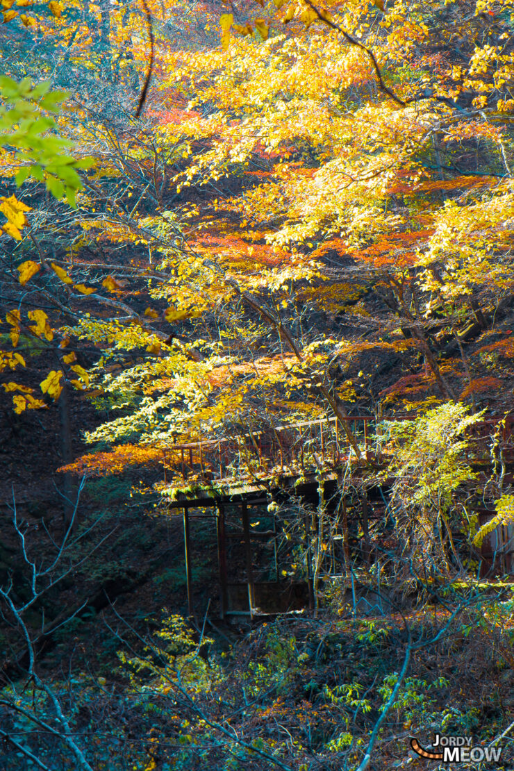 Exploring Vibrant Autumn Foliage in Nishizawa Valley, Japan.