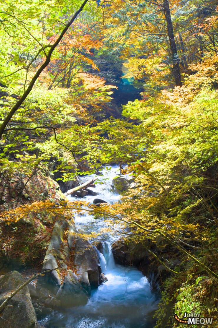 Autumn Beauty of Nishizawa Valley in Japan.