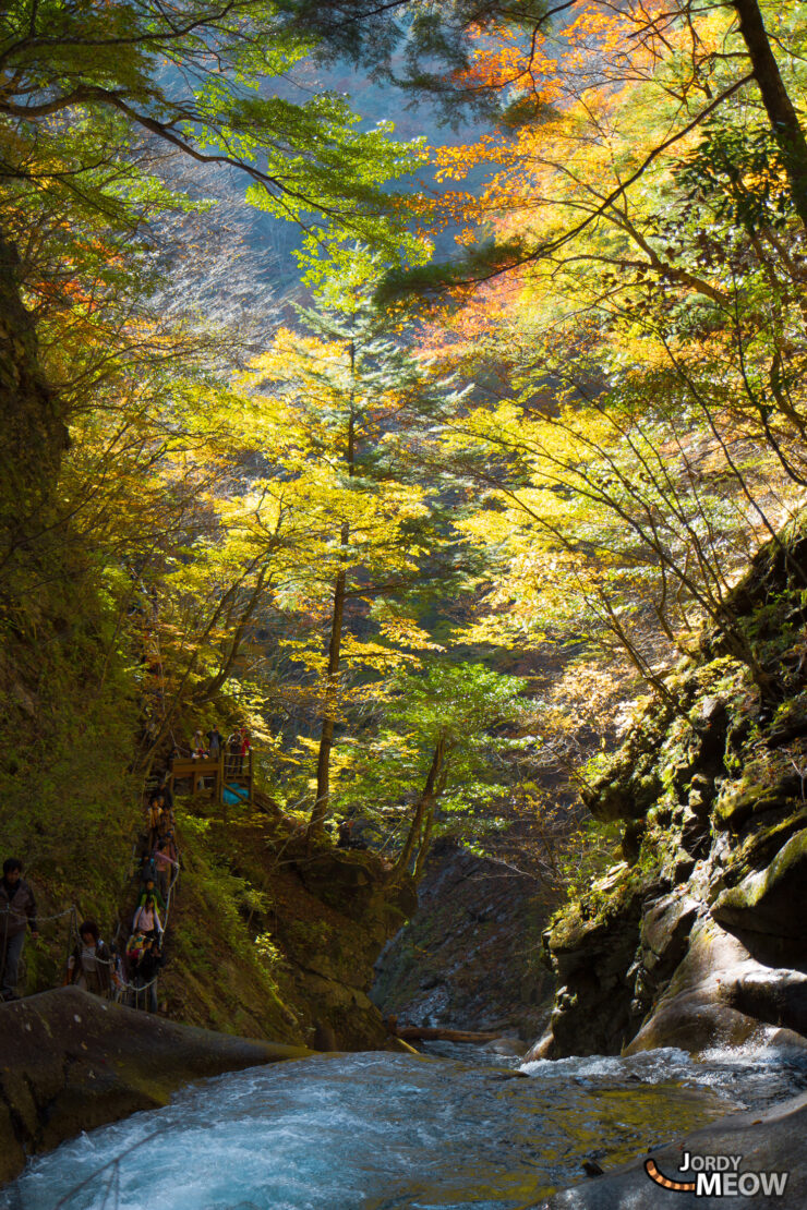 Serene autumn beauty in Nishizawa Valley, Yamanashi, Japan - perfect for nature lovers & photographers.