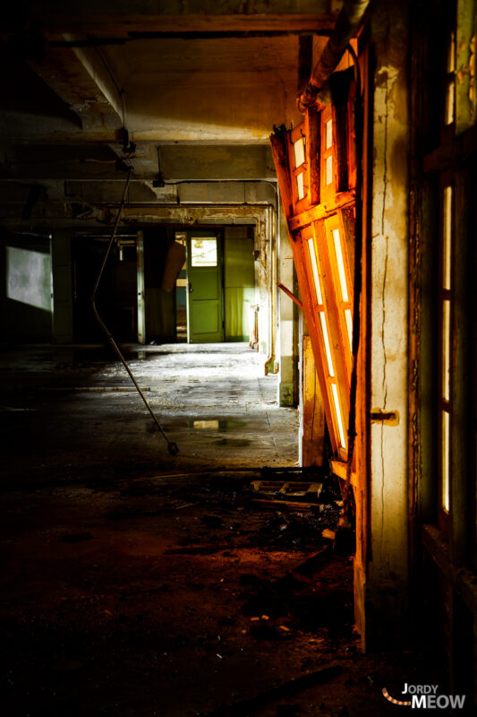 Eerie Negishi Grandstand in Japan showcases haunting beauty of abandoned equestrian venue.