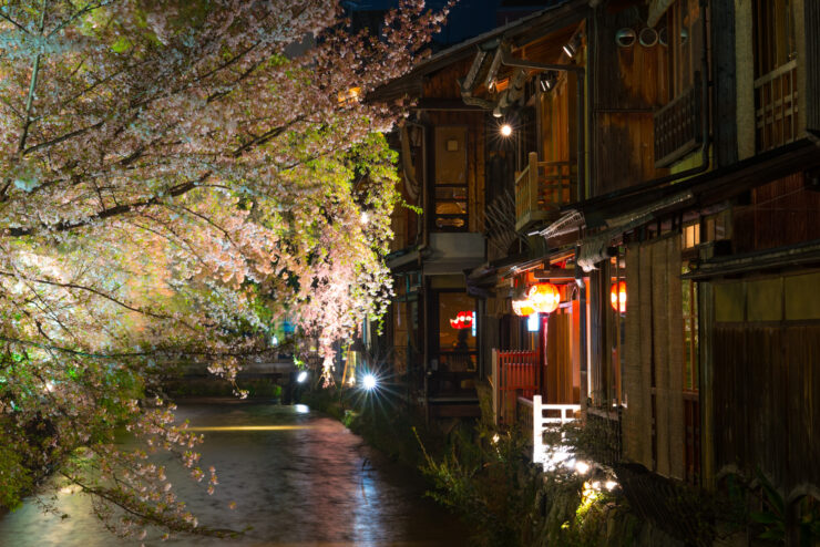 Nighttime charm in Japanese village: Lantern-lit street with cherry blossoms, creating cozy ambiance.