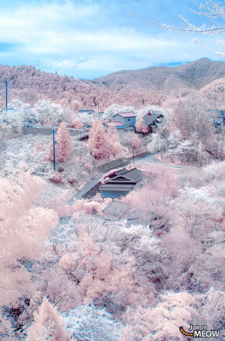 Enchanting Sakura Blossoms on Yoshino Mountain, Nara, Japan.