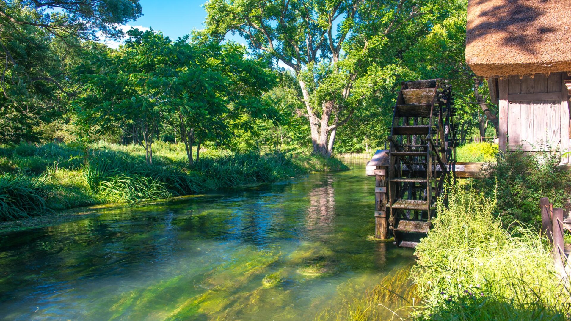 Tranquil watermill in lush Japanese wasabi farm, reflecting in clear stream.