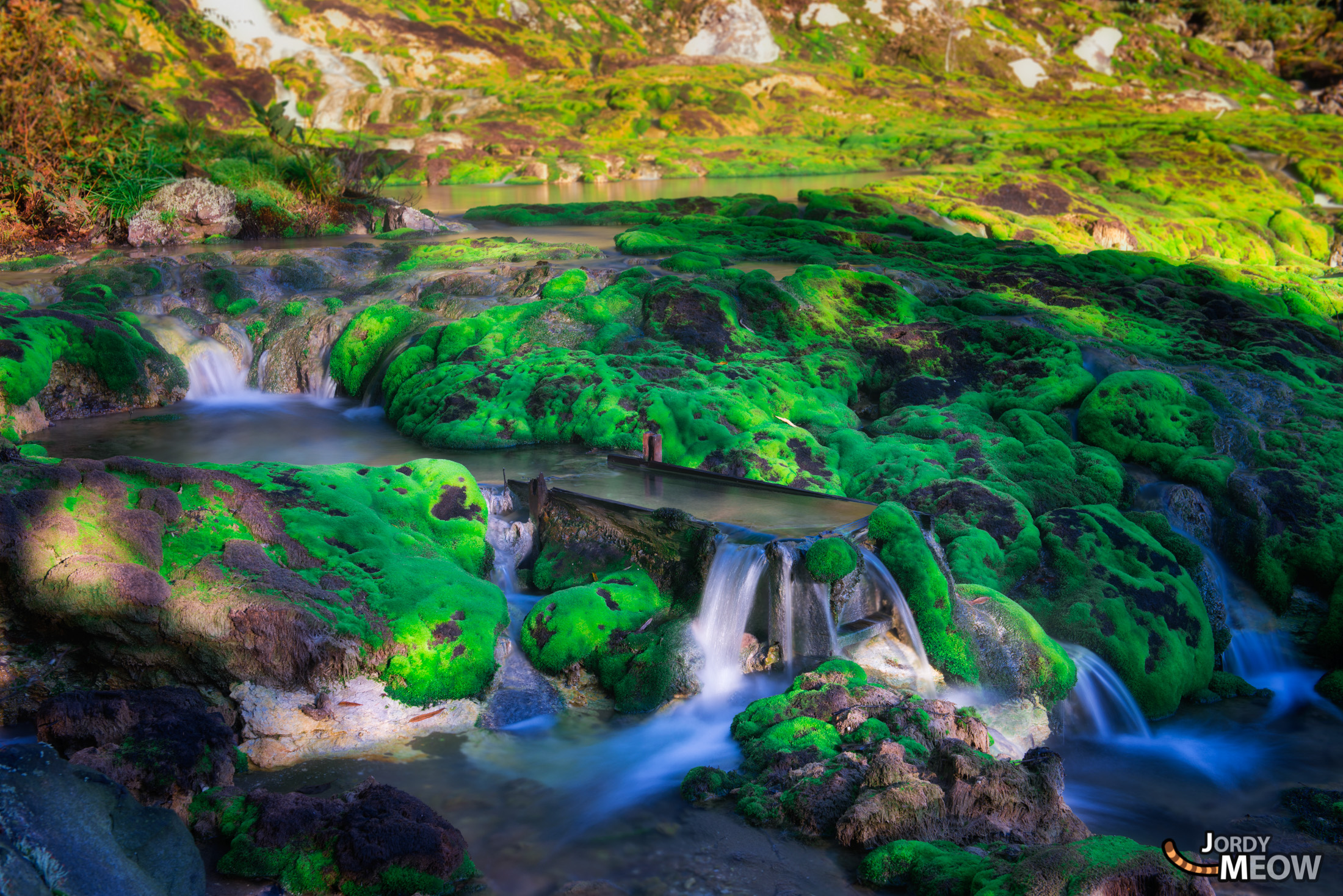 Captivating Mossy Landscape in Gunma, Japan - Enchanting Green Moss and Flowing Water Scene.
