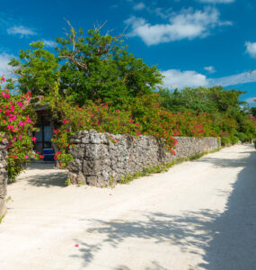 Tranquil pathway lined with colorful flowers on Taketomi Island, Okinawa, Japan.