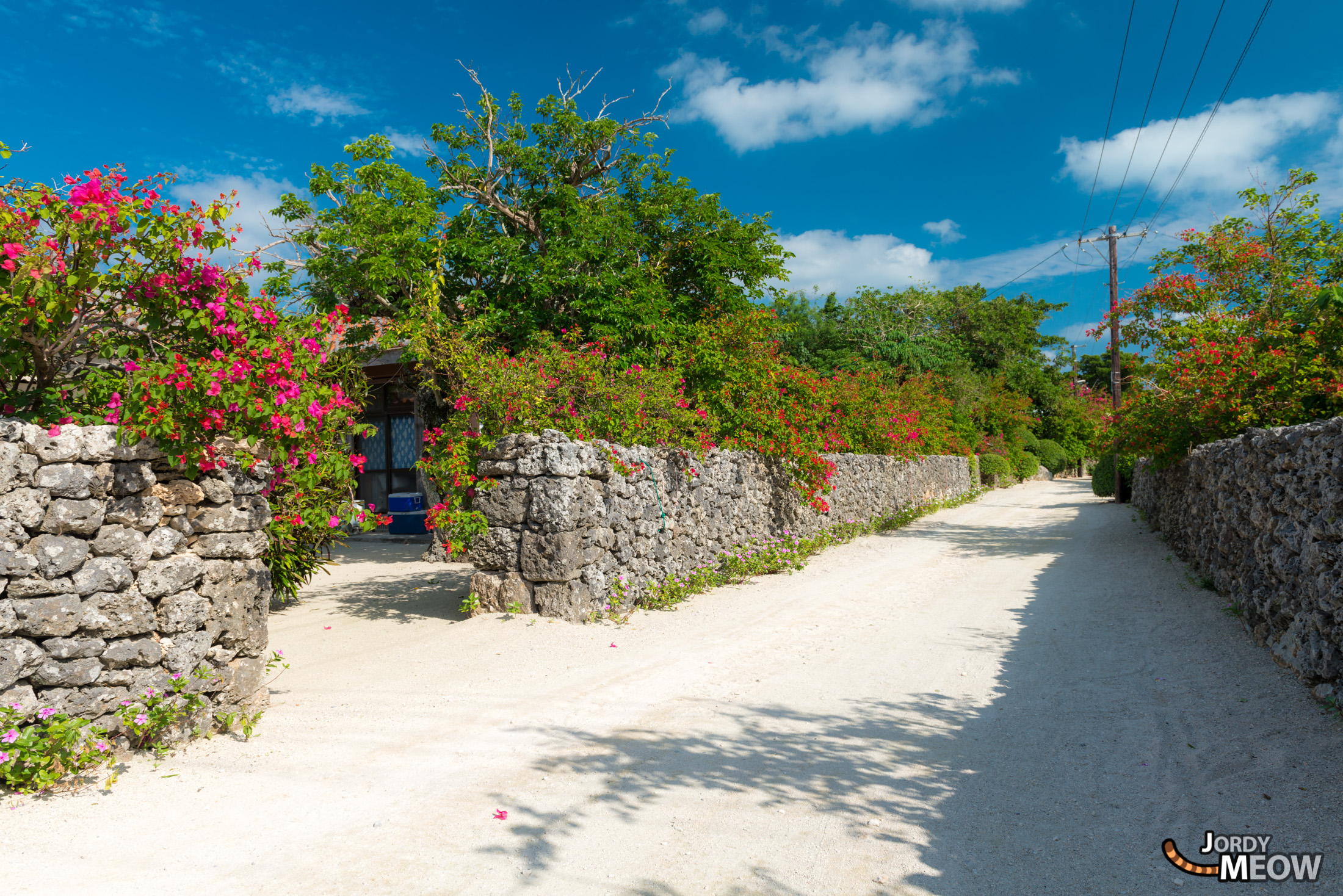 Tranquil pathway lined with colorful flowers on Taketomi Island, Okinawa, Japan.