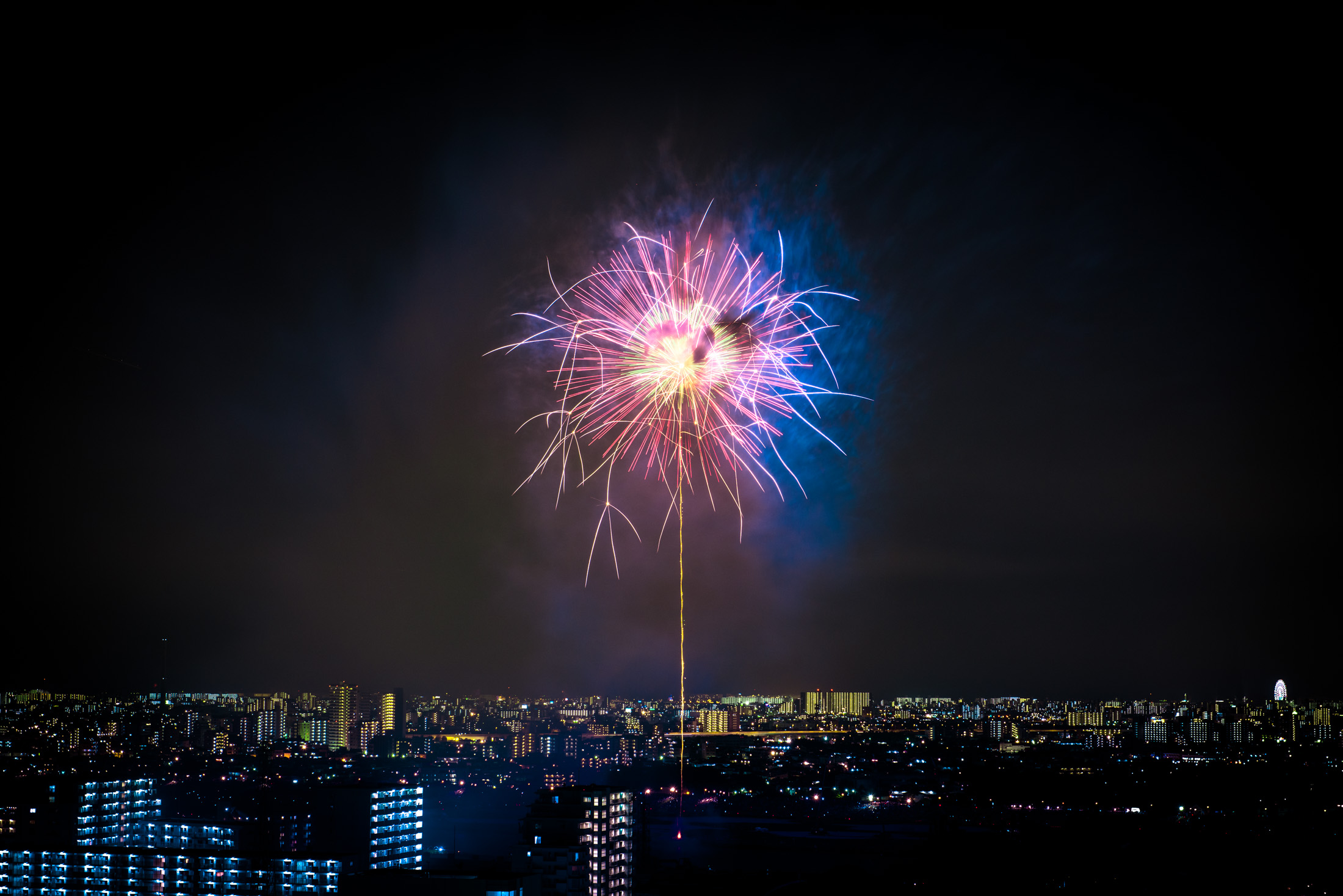 Edogawa City Fireworks Spectacular lighting up the night sky with vibrant colors.