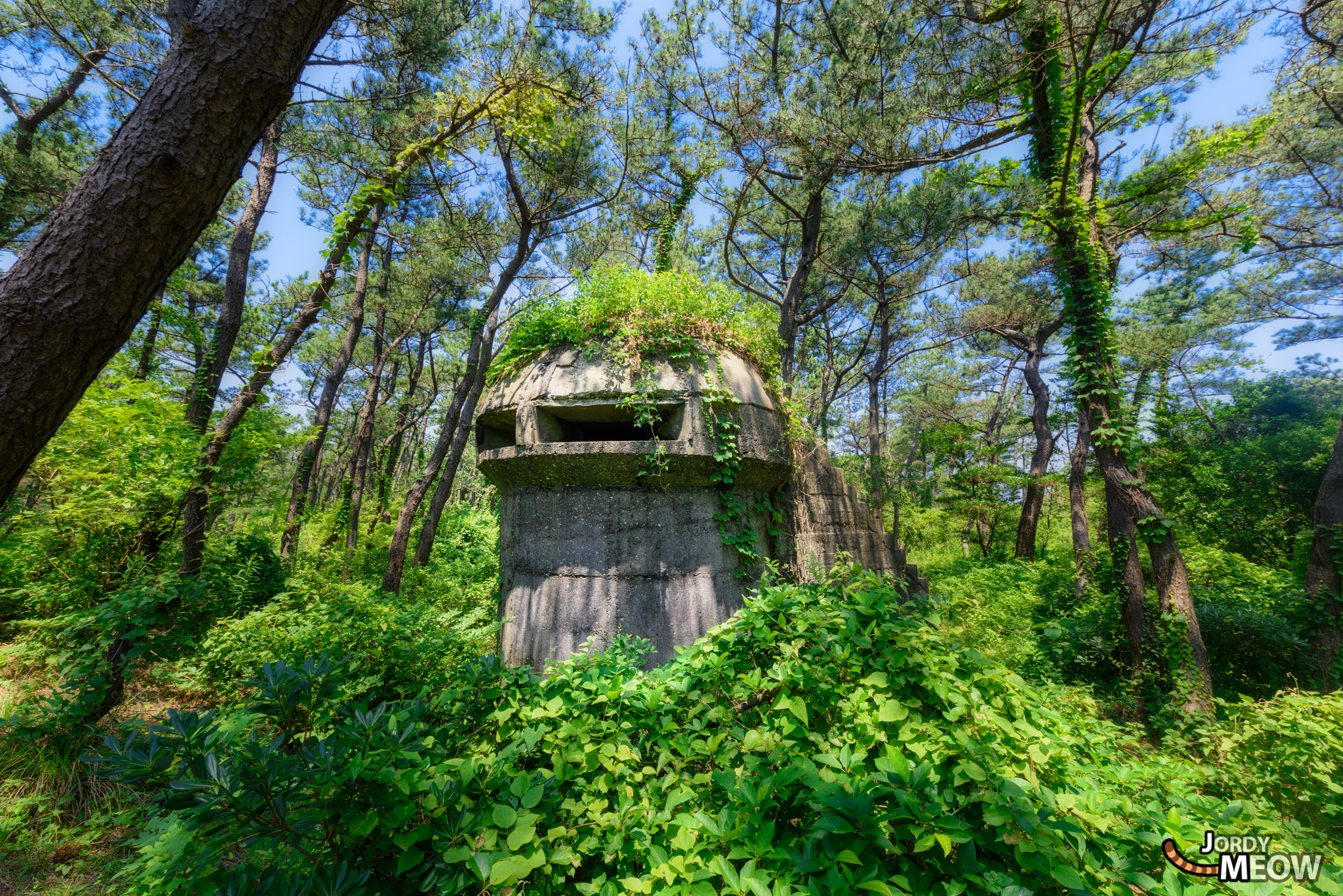 Tranquil scene of nature reclaiming historic structure at Futtsu Park in Japan.