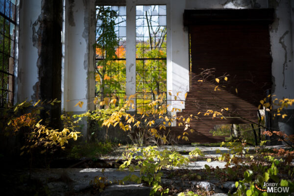 Wagakawa Hydro Plant in autumn: a beautiful blend of nature and decay.