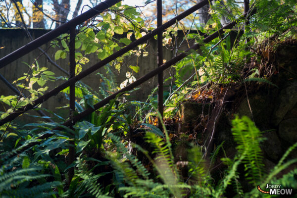 Autumn beauty at abandoned Wagakawa Hydro Plant, Tohoku, Japan.