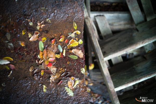 Abandoned beauty and natures embrace at Wagakawa Hydro Plant in Tohoku, Japan.