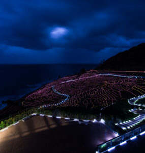 Enchanting illuminated rice fields in Japan with mesmerizing LED lights against the sea.