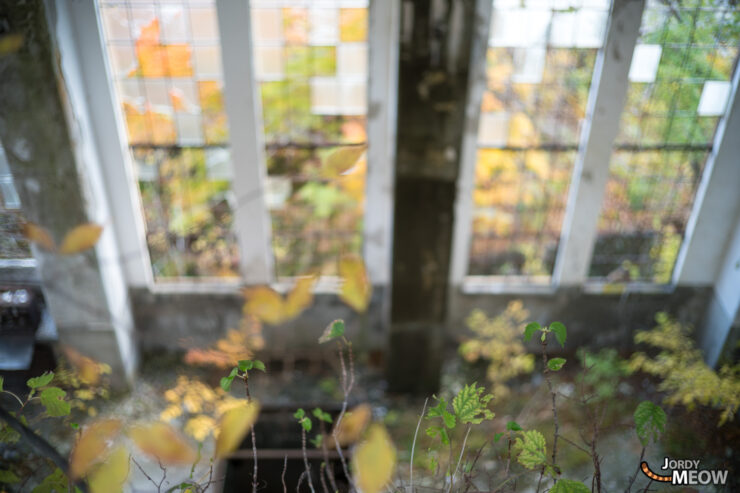 Autumn Beauty: Wagakawa Hydro Plant, Tohoku, Japan - natures reclaiming of industrial ruins.