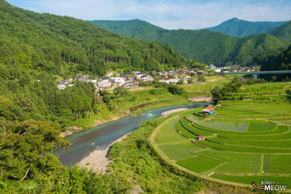 Serene Terraced Rice Fields in Shimizu, Wakayama: A Stunning Japanese Landscape.