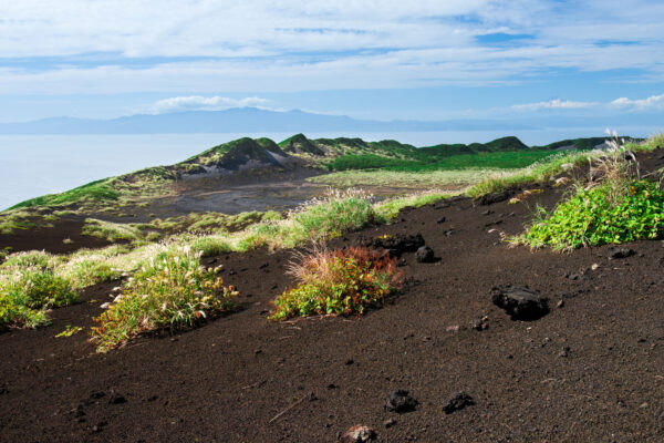 Explore Oshima Island: A Natural Gem in the Oceans Embrace.