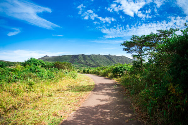 Discover the tropical beauty of Izu Oshima Island with stunning volcanic landscapes.