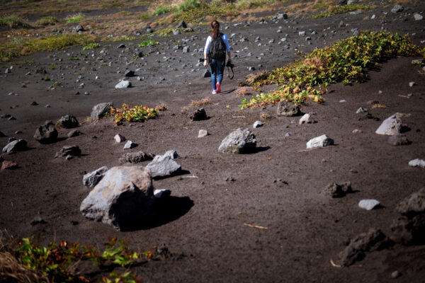 Discover the raw beauty of Oshima Islands volcanic landscape and lush greenery.