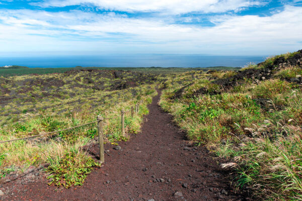 Discover the beauty of Oshima Island with its lush greenery, rolling hills, and vast ocean.