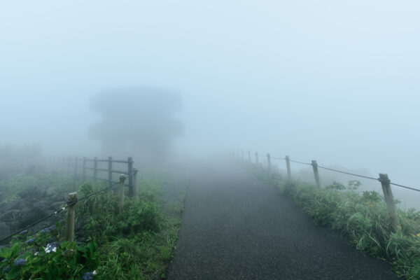 Misty Path Leading to Mt. Mihara on Oshima Island.