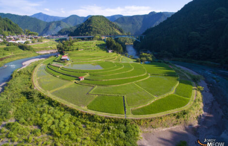 Tranquil Aragi Island rice terraces in picturesque Wakayama, Japan.