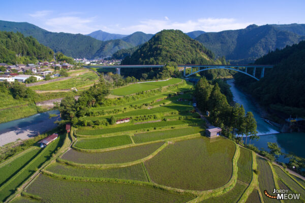 Tranquil Terraced Rice Fields in Shimizu Town, Wakayama: Breathtaking Japanese landscape with curved terraces.