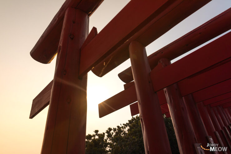 Vermilion Torii Gates at Motonosumi Inari Shrine in Nagato City, Japan, creating a stunning tunnel.