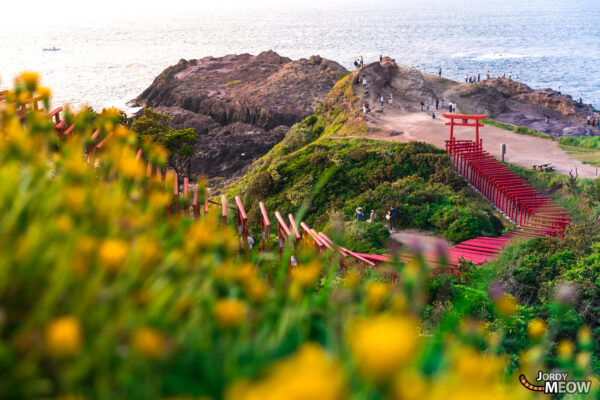 Experience the divine at Motonosumi Inari Shrine: a sacred beauty in Japan.