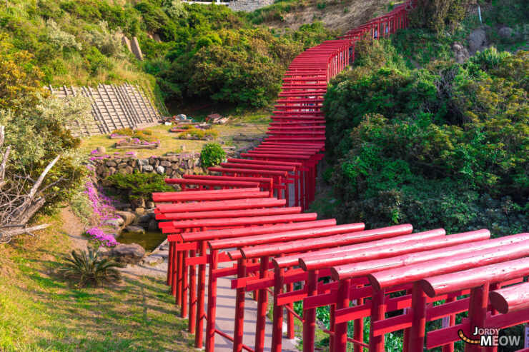 Tranquil Beauty: Motonosumi Inari Shrine with vibrant red torii gates and stunning ocean view.