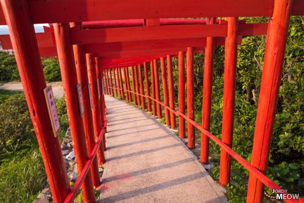 Enchanting Motonosumi Inari Shrine: Spiritual haven with vibrant red torii gates in Japan.