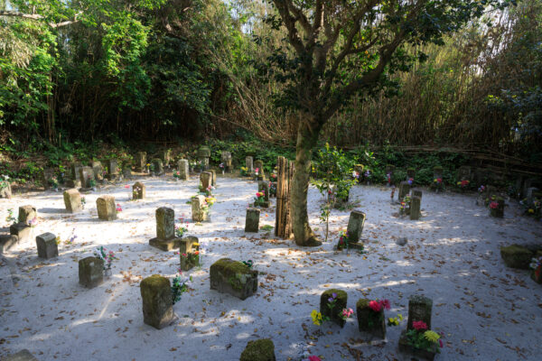 Tranquil cemetery with weathered gravestones surrounded by lush greenery, creating a peaceful atmosphere.