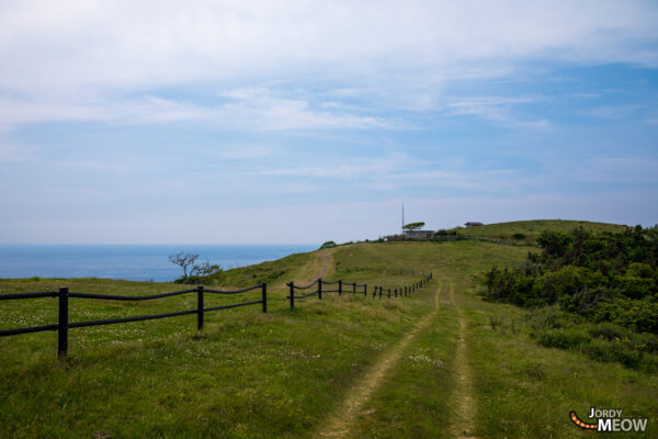 Explore Kuniga Coast: Remote Beauty in Oki Islands, Japan.