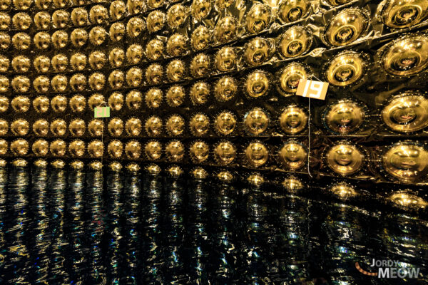 Golden Spheres Neutrino Observatory: Mesmerizing Array of Photomultiplier Tubes Detecting Neutrinos.