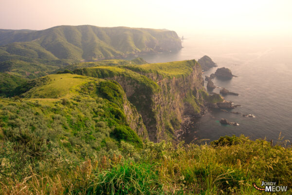 Stunning Kuniga Coast in Nishinoshima, Japan: Rugged cliffs, grazing livestock, and breathtaking beauty.