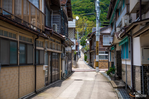 Explore Nishinoshima: Cliffs, Rocks, Pastoral Beauty - Chugoku, Japan, Shimane.