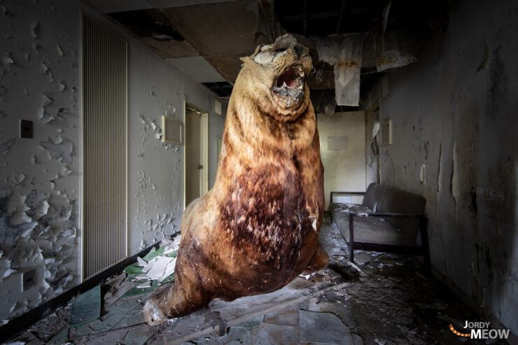 Abandoned bear-occupied school hallway, eerie nature reclamation.