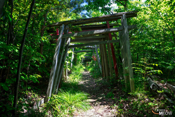 Abandoned Shinto Shrine, Sado Island, Tranquil Japanese Spirituality