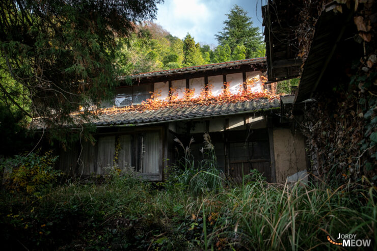 Dilapidated rural Japanese clinic, nature-reclaimed.