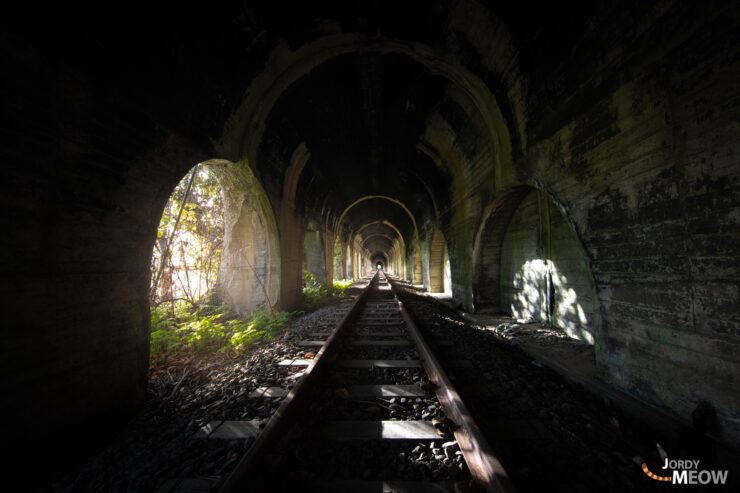 Abandoned Hokkaido tunnel, natures resilient reclamation.