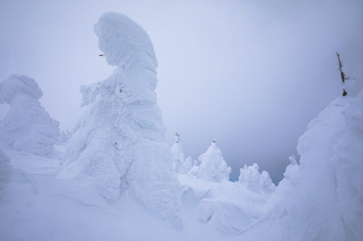 Eerie snow sculptures in Zao Mountains, Japan