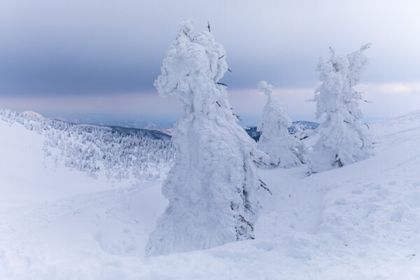 Enchanting Snow Sculptures in Zaos Wintry Wonderland