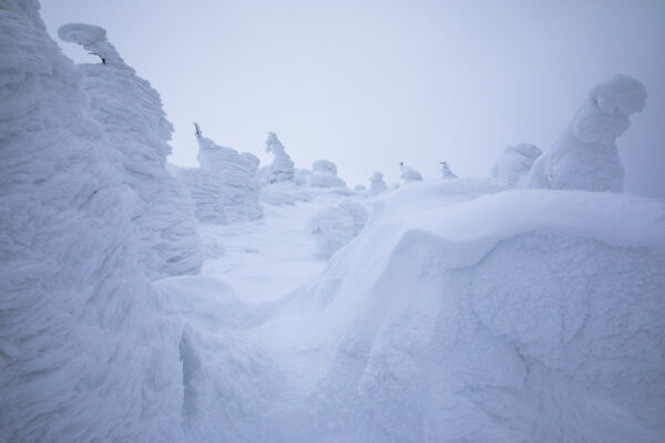 Ethereal Snow Sculptures, Zao, Japan