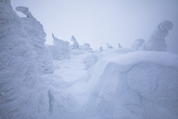 Ethereal Snow Sculptures, Zao, Japan