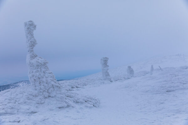 Enchanting Zao Snow Monster Sculptures Wonderland