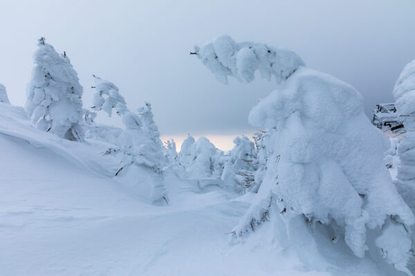 Ethereal Zao Winter Wonderland Snow Sculptures