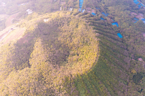 Aogashima Volcanic Island - Stunning Aerial View of Remote Beauty.