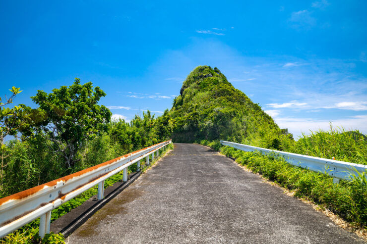 Lush volcanic island Aogashima, serene nature trail.