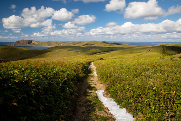 Tranquil hiking trail in lush green hills of Rebun Island, Japan.