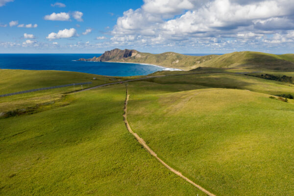 Lush Rebun Island, Hokkaidos serene meadows, azure sea.